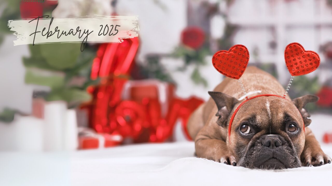 February 2025 Newsletter