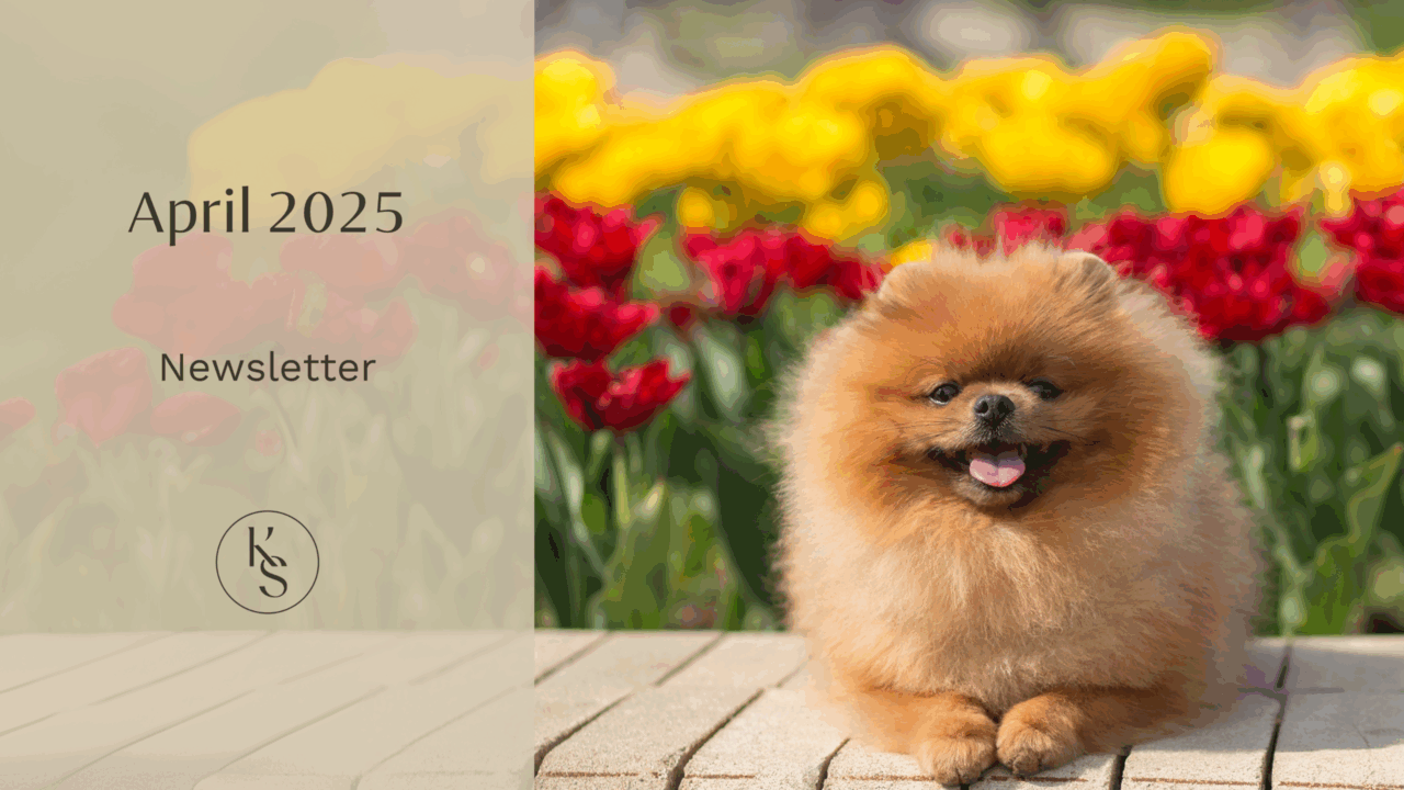 April 2025 Newsletter