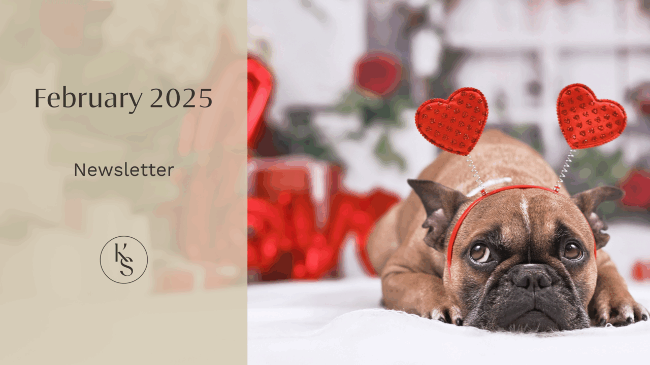 February 2025 Newsletter