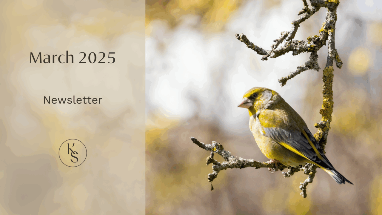 March 2025 Newsletter