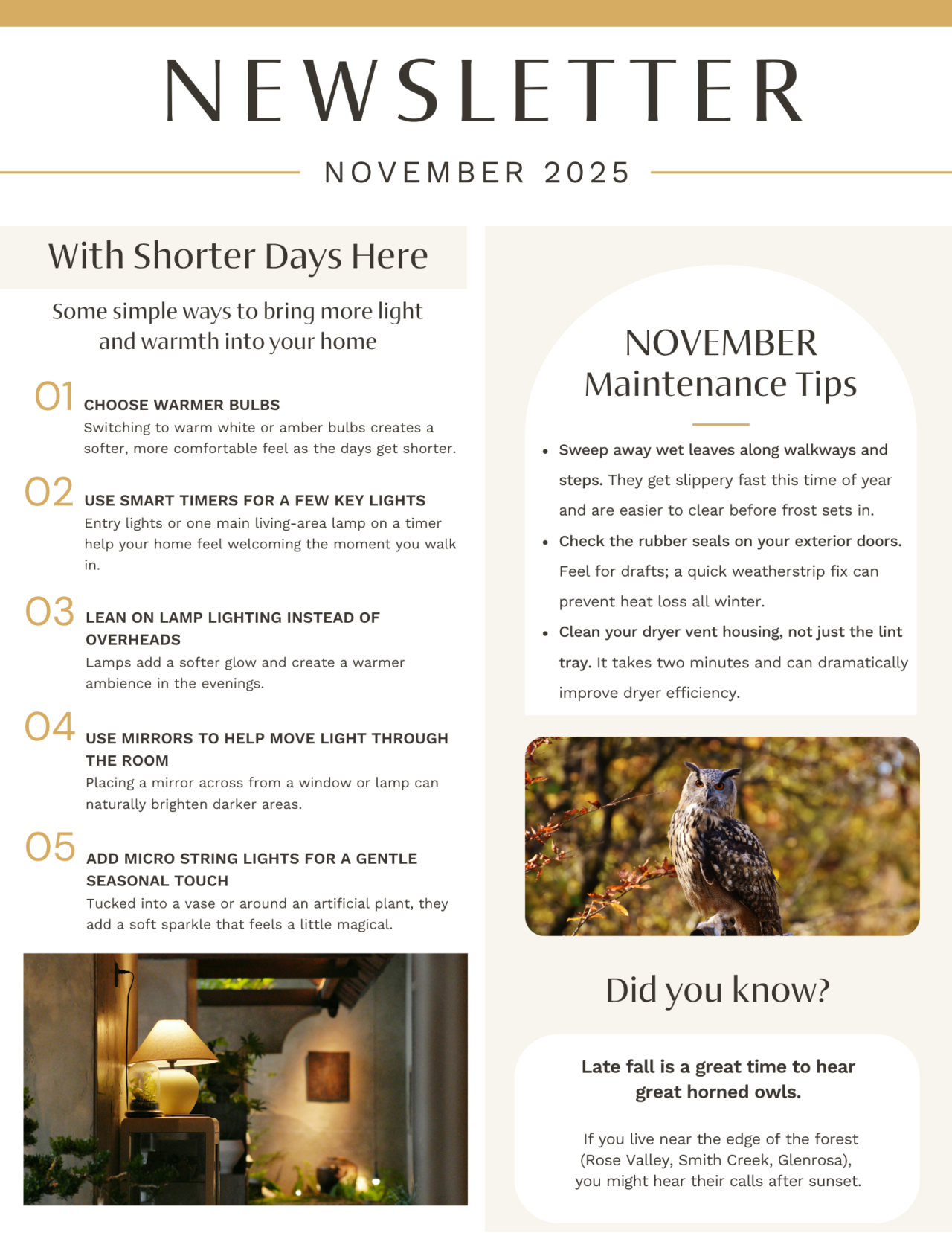November 2025 newsletter, page 1: indoor lighting and winter maintenance.