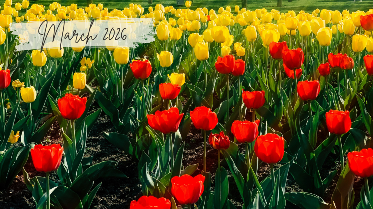 March 2026 Newsletter