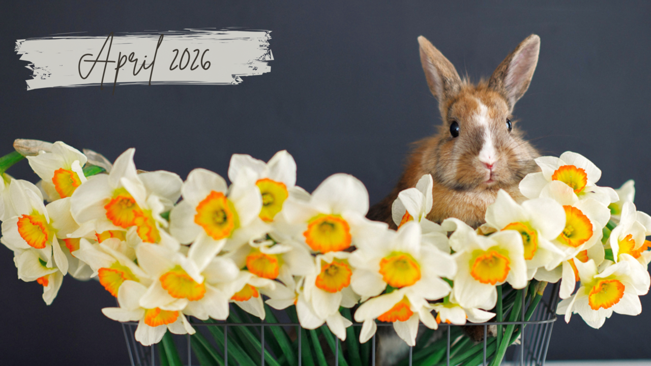 April 2026 Newsletter