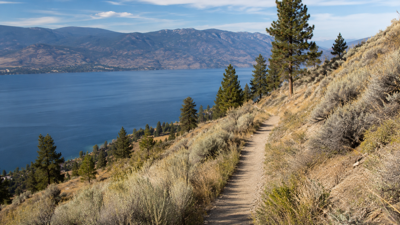 Narrow hillside trail above a lake, with pine trees and dry grasses.