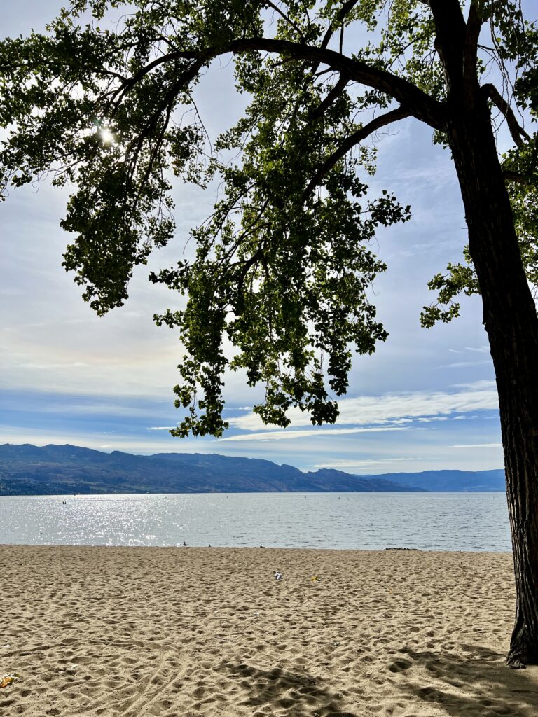 Okanagan Lake from the beach